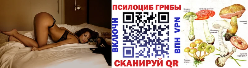 Псилоцибиновые грибы Psilocybe  Кудрово 
